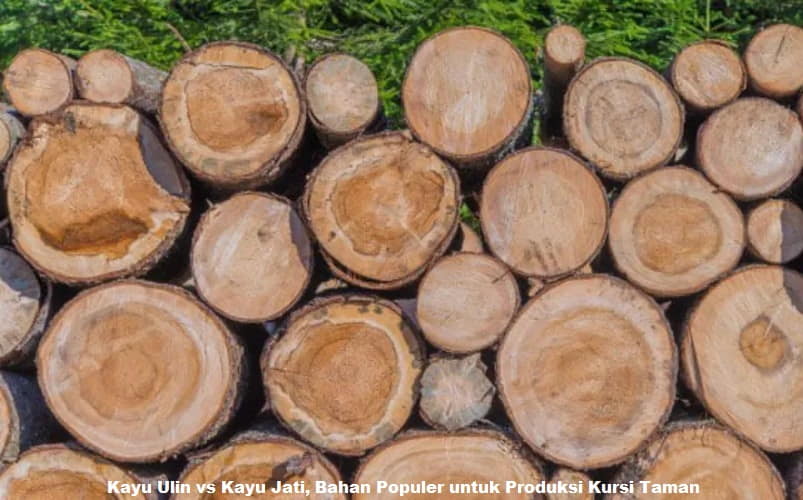 Kayu Ulin vs Kayu Jati, Bahan Populer untuk Produksi Kursi Taman