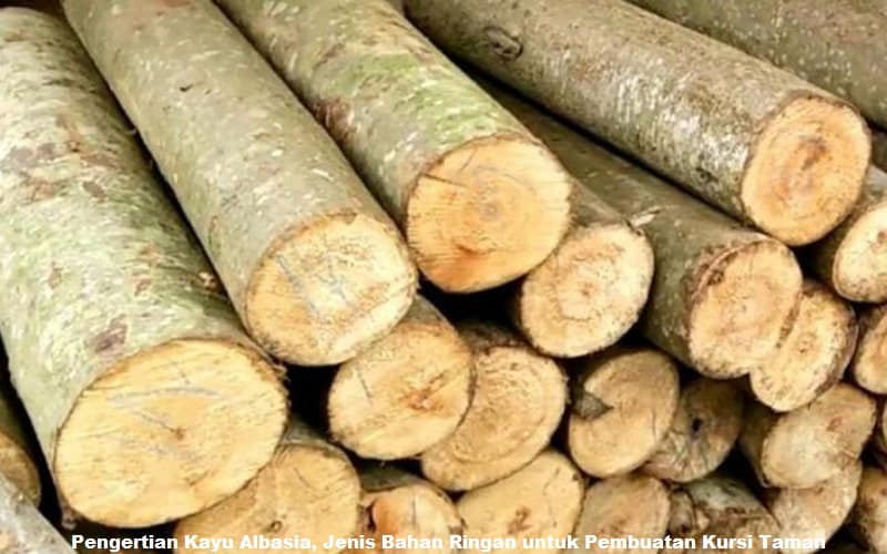 Pengertian Kayu Albasia, Jenis Bahan Ringan untuk Pembuatan Kursi Taman